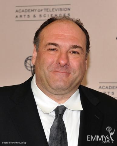 James Gandolfini at the Fourth Annual Television Academy Honors