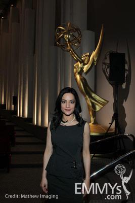 Archie Panjabi at An Evening With The Good Wife